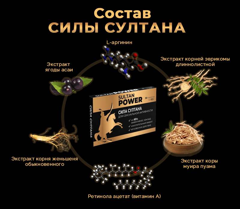 Состав Силы Султана